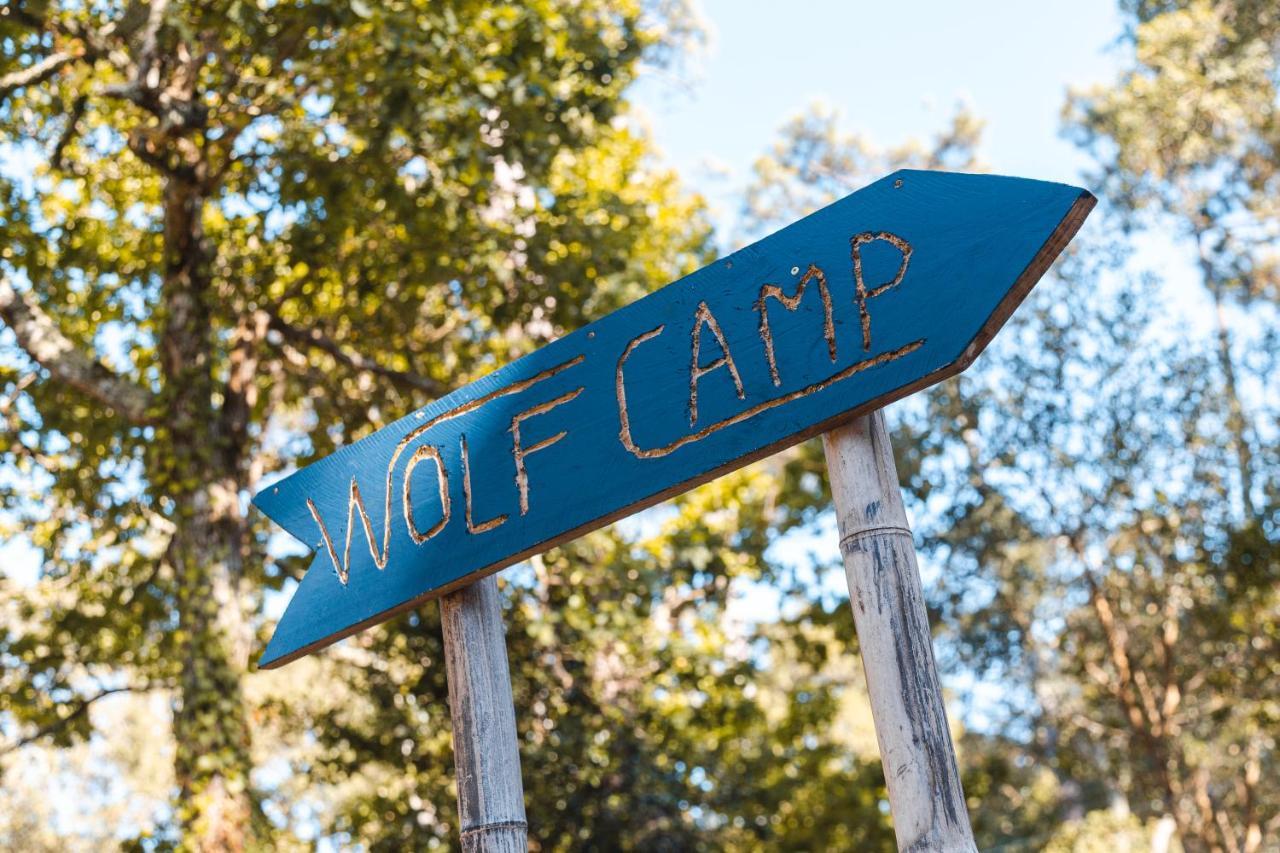 Hotel Wolfcamp Surf Moliets Exteriér fotografie