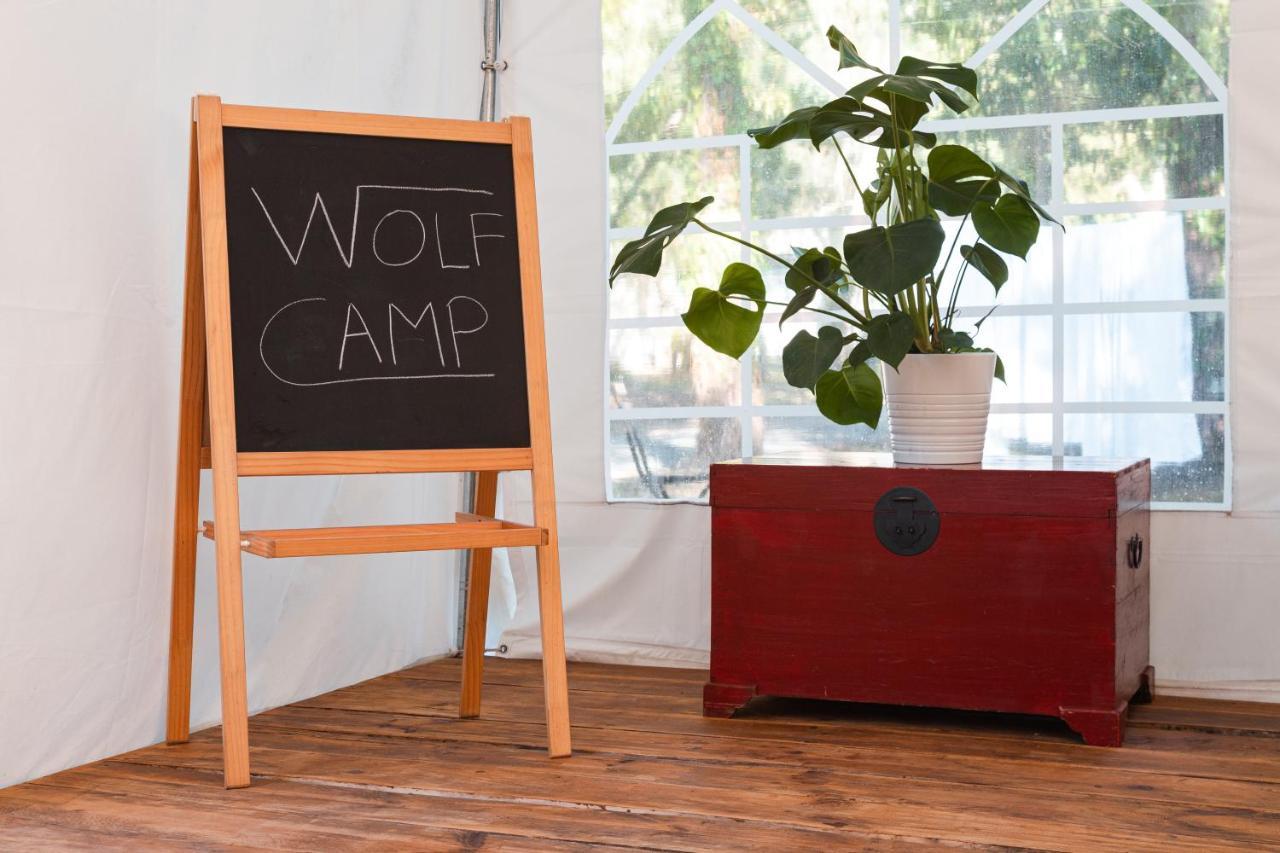 Hotel Wolfcamp Surf Moliets Exteriér fotografie